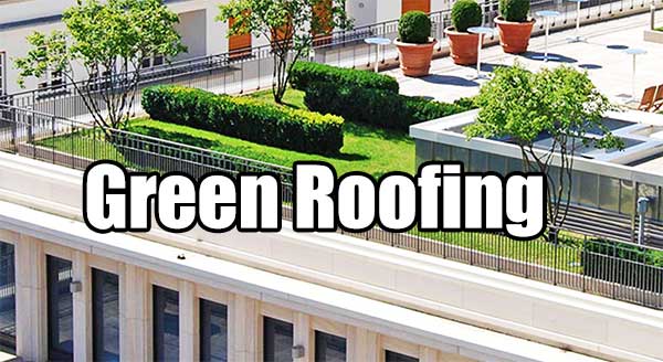 green roofing article
