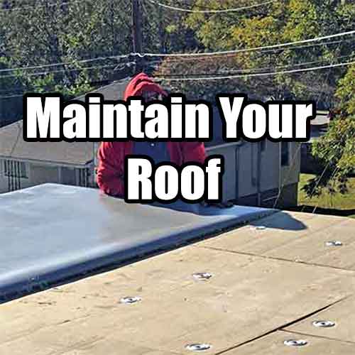 maintain roof